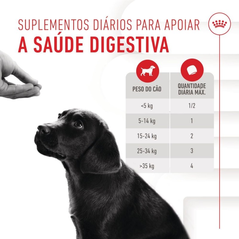 Royal Canin Immunity Digestion Puppy - Suplemento para cachorros com sensibilidade digestiva