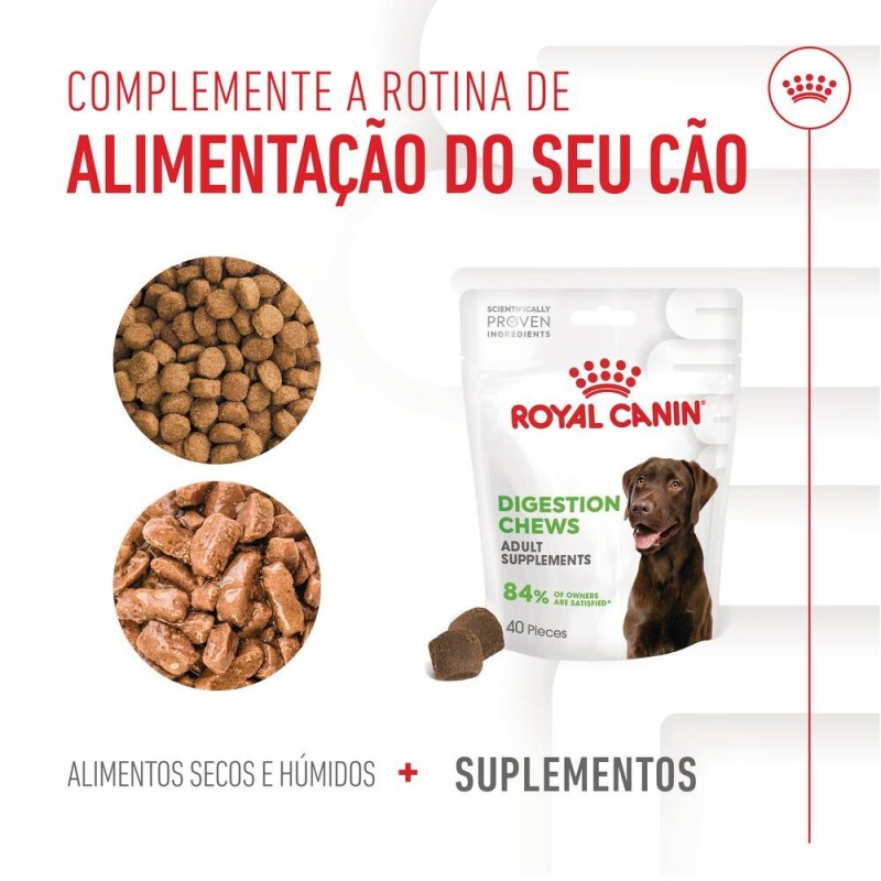 Royal Canin Digestion Chews - Suplemento para cães com sensibilidade digestiva