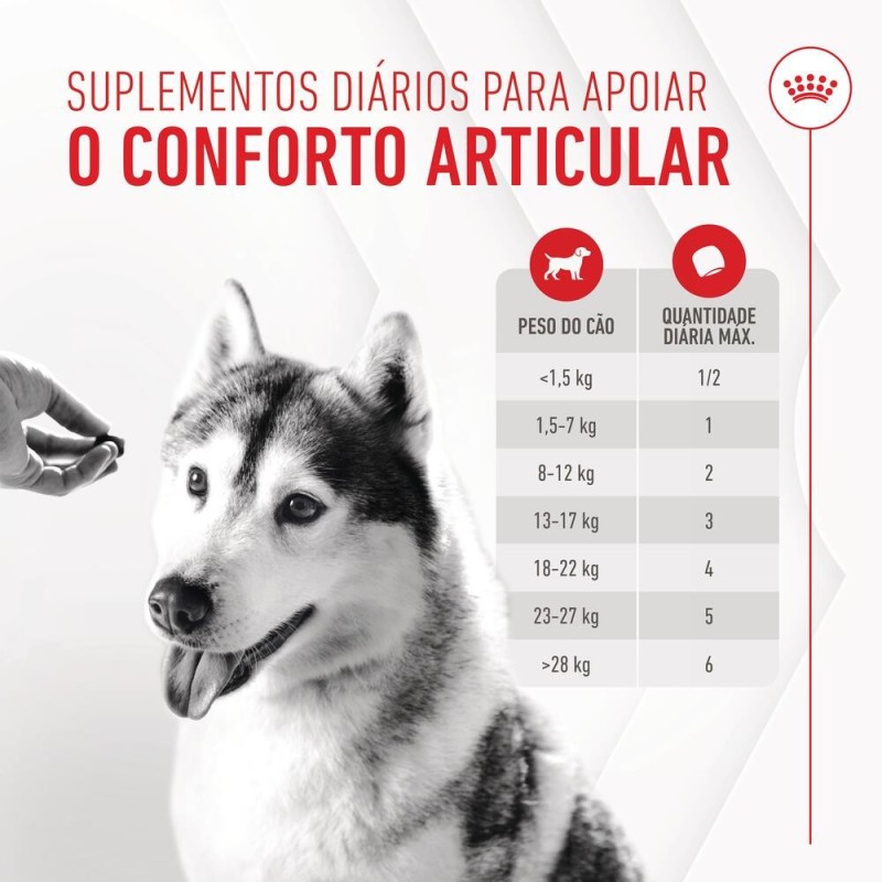 Royal Canin Joint & Ageing Chews - Suplemento para cães com sensibilidade articular