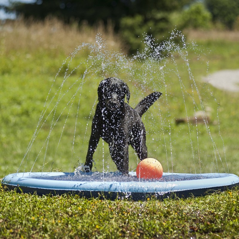 Piscina Splash para cães - Ferribiella