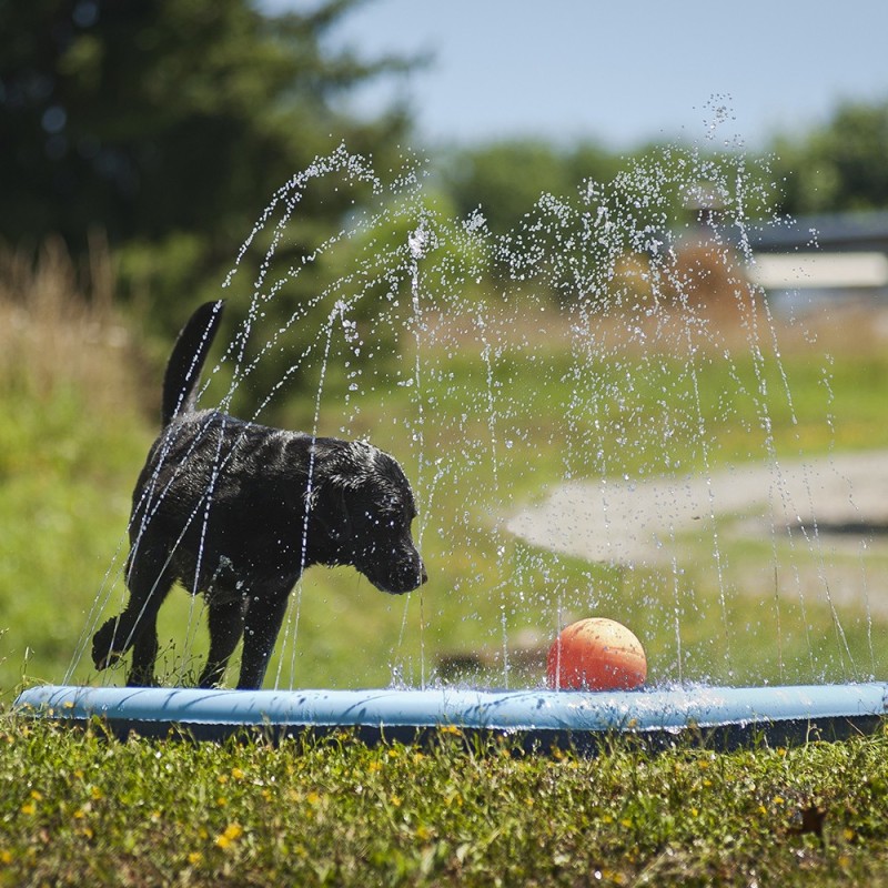 Piscina Splash para cães - Ferribiella