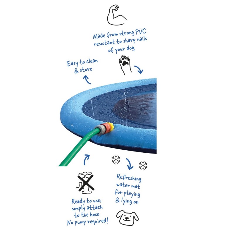 Piscina Splash para cão - Duvo Plus