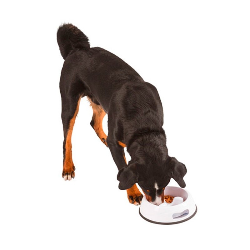 Comedouro Anti-Gulping