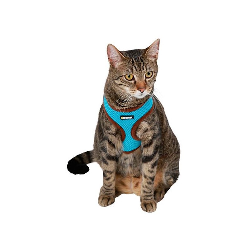 Peitoral ACTIV para gatos