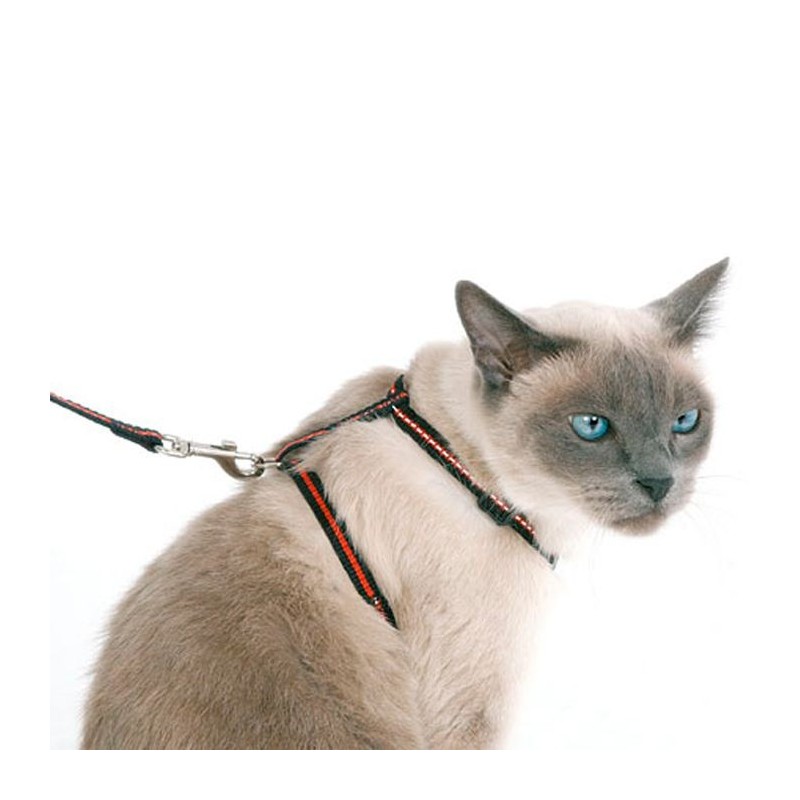 Arnês para Gato