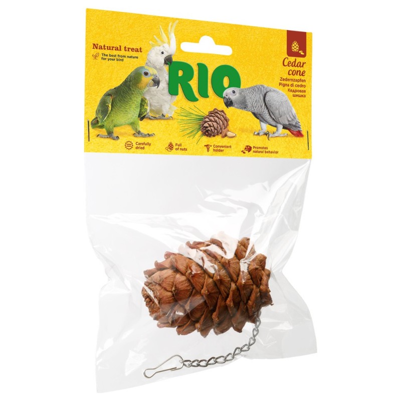 Pinha de cedro para aves - RIO