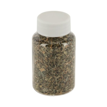 Catnip - Kerbl