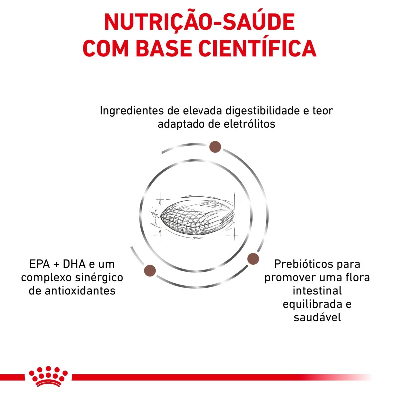Royal Canin VET Gastrointestinal Hairball - Ração seca para gato adulto com problemas digestivos